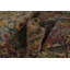 Tapis oriental à teinture végétale 12 x 18
