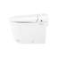 Smart Toilet Bidet Combo With Self-Cleaning Nozzle
