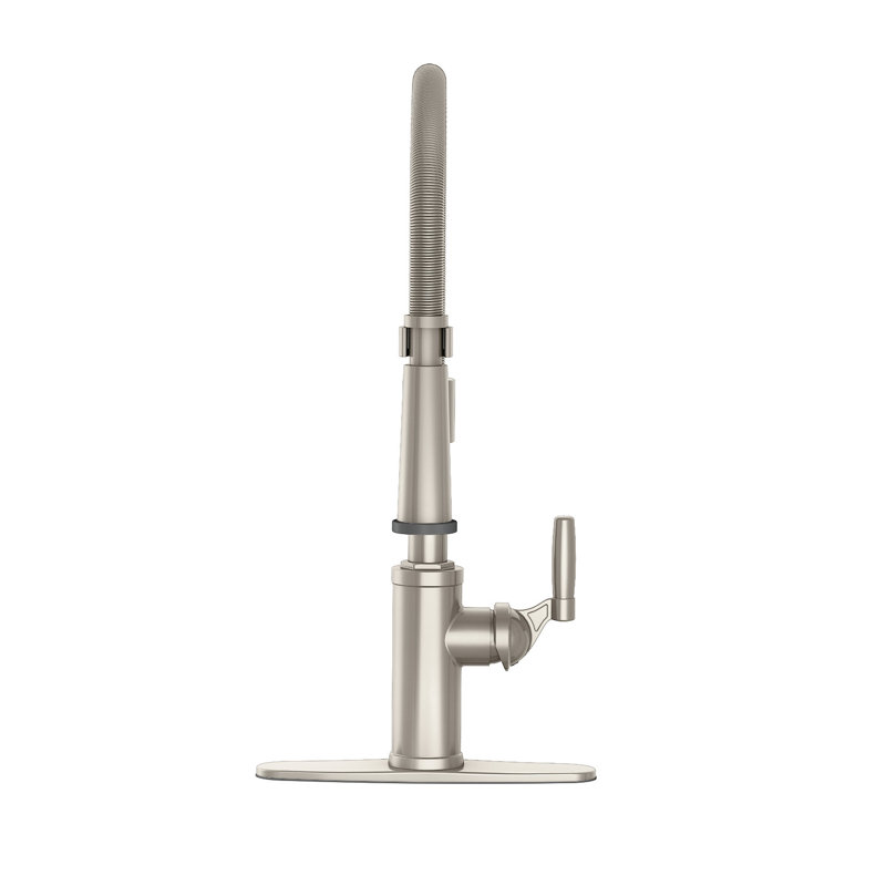 Vetta Pull Out Kitchen Faucet, Brushed Nickel