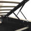 Daysan Upholstered Ottoman Storage Bed-1898330322