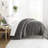 Soft Down-Alternative Essential Comforter-328447639-328447632