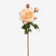 Rose Faux Floral-807825550