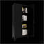 Élégante armoire de rangement en métal à 2 portes avec tablettes réglables, parfaite pour organiser et maximiser l'espace dans les chambres et les salons.