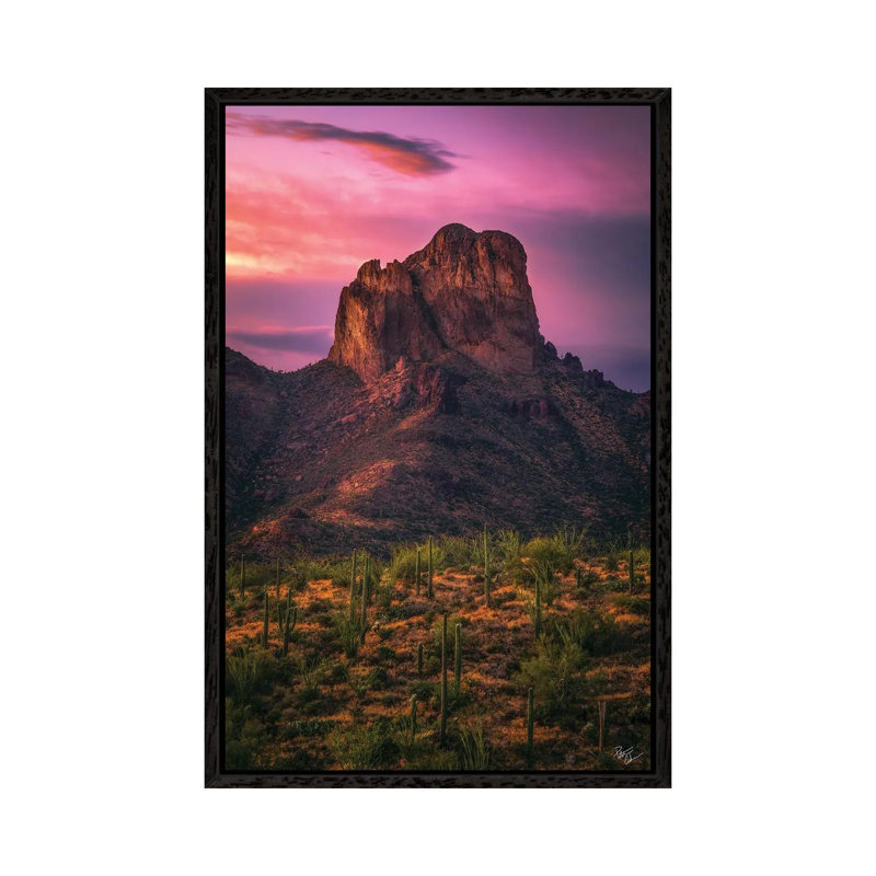 Buzzards Roost Twilight by Peter Coskun - Floater Frame Print on Canvas, Black Framed Canvas, 66.04 cm H x 45.72 cm W
