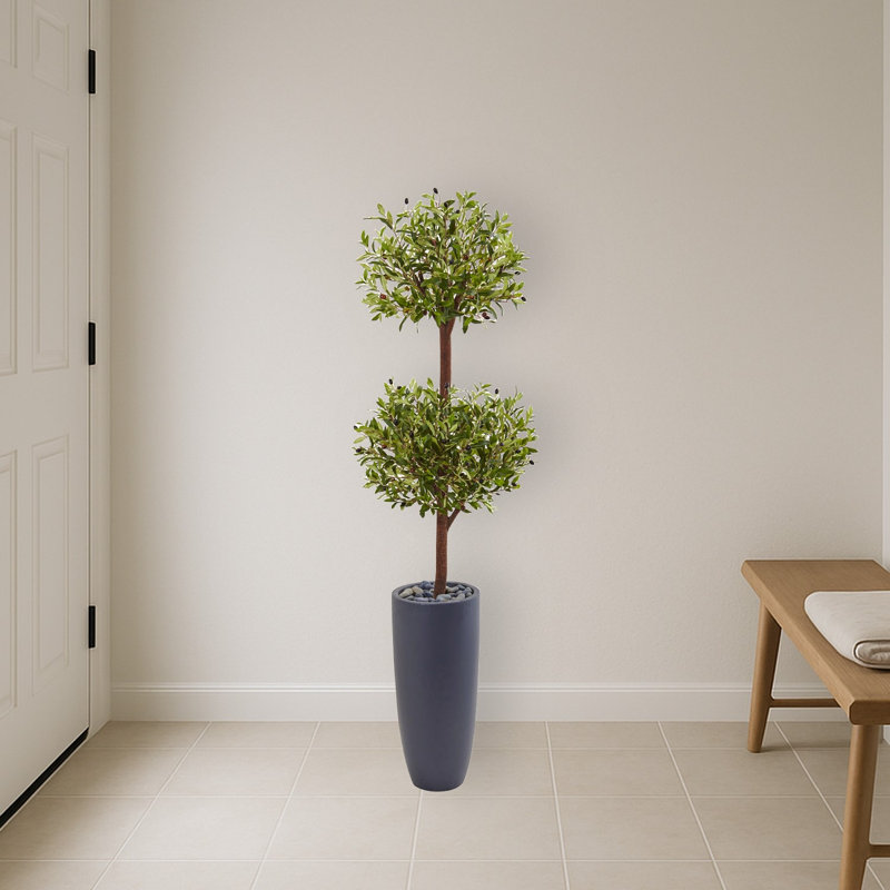 Olive Double Tree in Gray Cylinder Planter