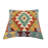 Niesha Geometric Throw Pillow
