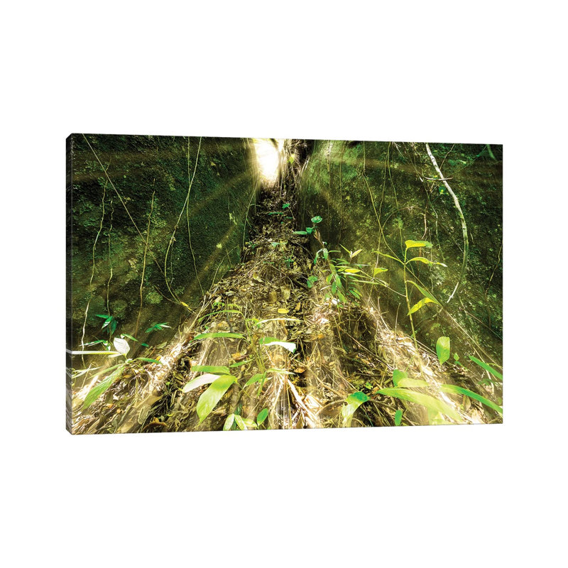 Tropical Forest XVI 1 Piece Wrapped Canvas Wall Art, 101.6 cm H x 66.04 cm W