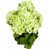 Celery is out of stock