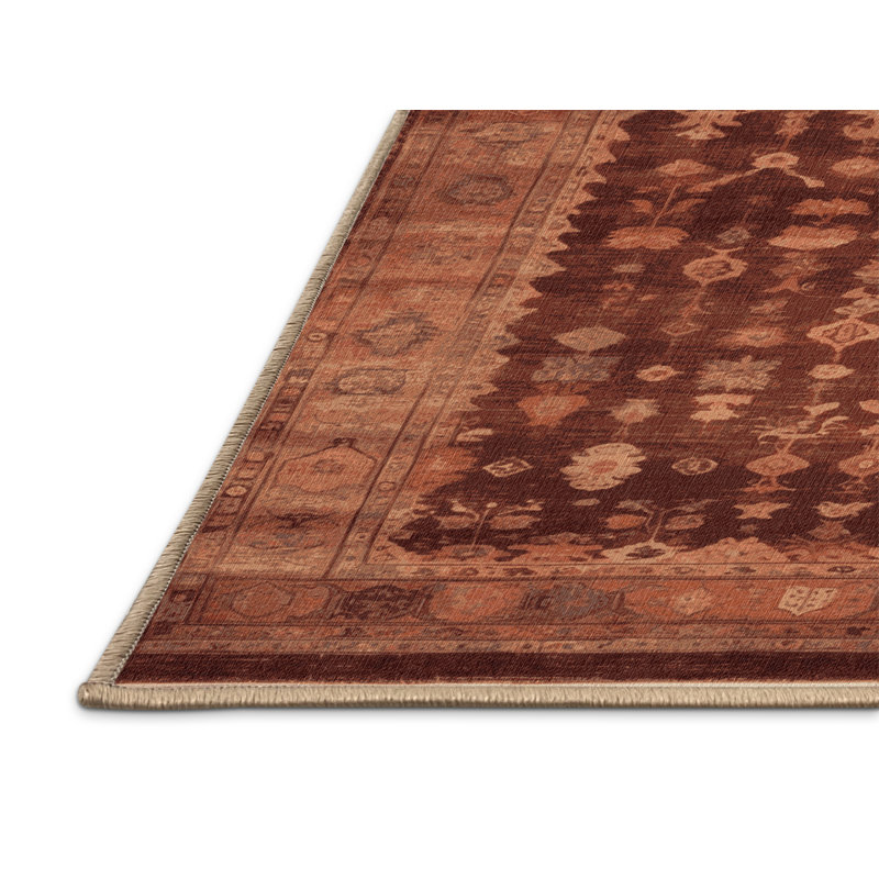 Tapis brun lavable à la machine, Tapis de couloir 2 pi x 4 pi