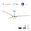 Ventilateur de plafond intelligent 52 po avec télécommande Bedford, ensemble d'éclairage inclus, fonctionne avec l'assistant Google et Amazon Alexa, raccourci Siri.