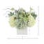 Arrangement floral d'hortensias et de baies en pot Ferrer