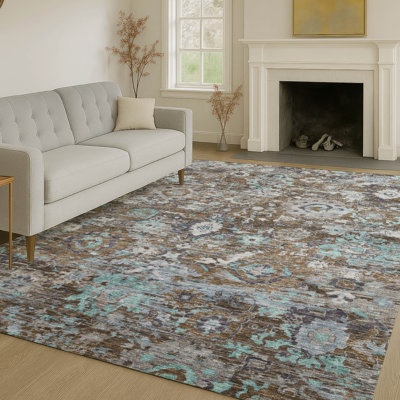 Machine Washable Indoor/Outdoor Chantille ACN2430 Traditional Rug