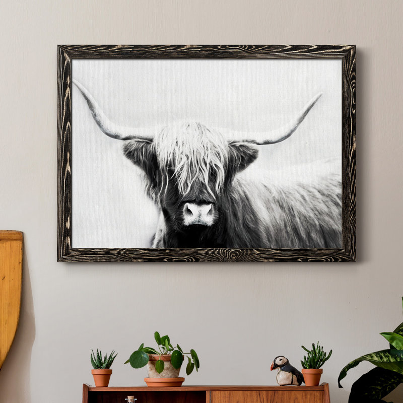 Highland Longhorn - Cadre flottant, reproduction de photo sur toile, H 37,5 po x l 27,5 po x P 1,5 po, Toile avec cadre noir