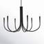 Catalena 6-Light Chandelier-706210905-706210910