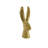 Rabbit-Reactive Matte Gold-60070745-60070750