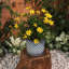 Modern Textured Ceramic Planter with Saucer-1936006852-1936006854