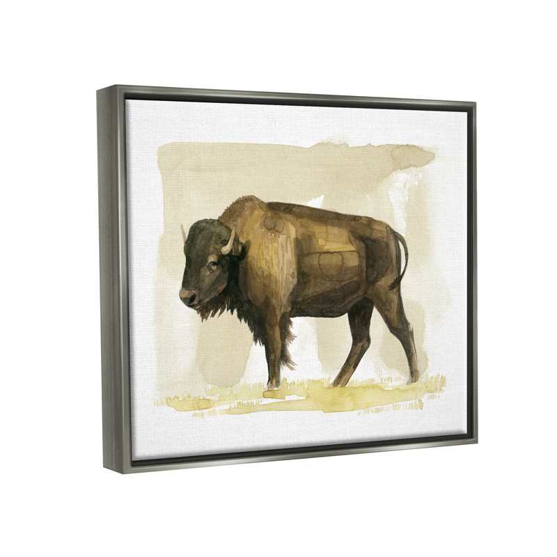 Bison, animal de campagne, aquarelle, H 17 po x l 21 po x P 1,7 po, Cadre flottant gris lustré