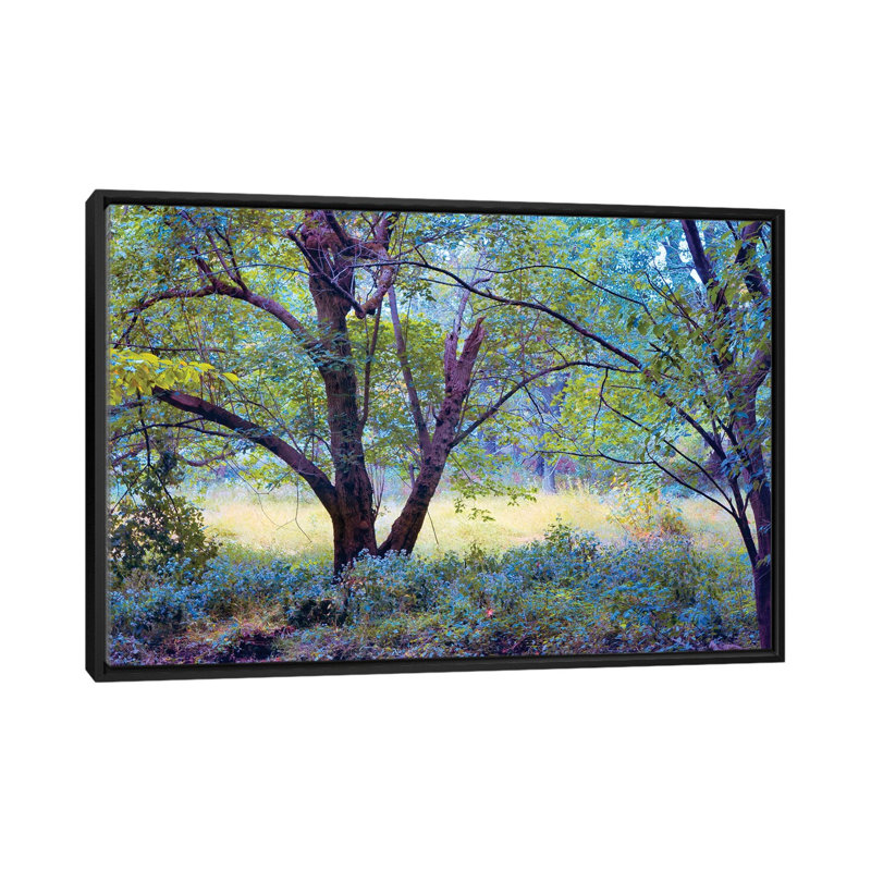 « oublié day rêves », reproduction de photo sur toile, H 18 po x l 26 po x P 1,5 po, Toile avec cadre noir, Pas de tapis