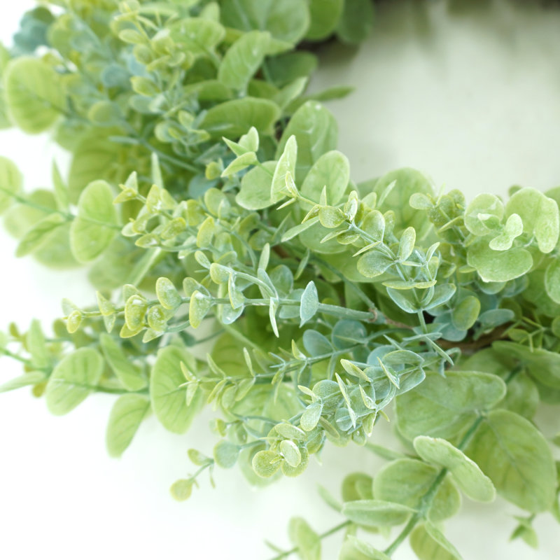 Couronne de printemps 20 "en feuilles d'eucalyptus Judsonia