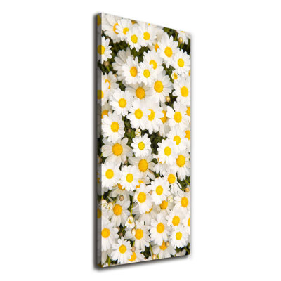Daisy Flowers - Wrapped Canvas Print