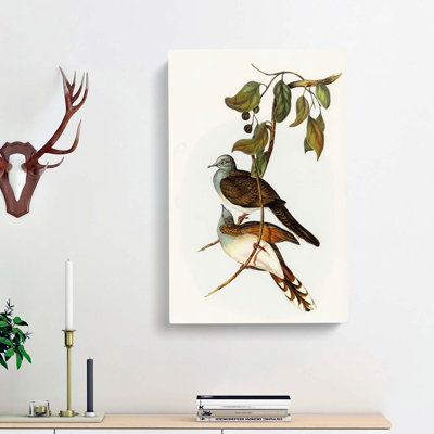 Barred Shouldered Ground Doves by Elizabeth Gould - Wrapped Canvas Painting
