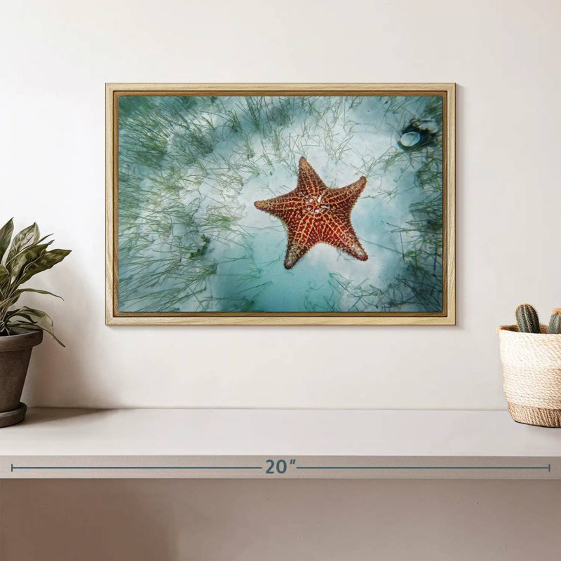 Étoile de mer peu profonde, Cadre flottant en bois naturel, 13 po x 9 po