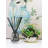 Czubak Plant / Floral Diffuser