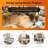 Walebridge Electric Fireplace Insert