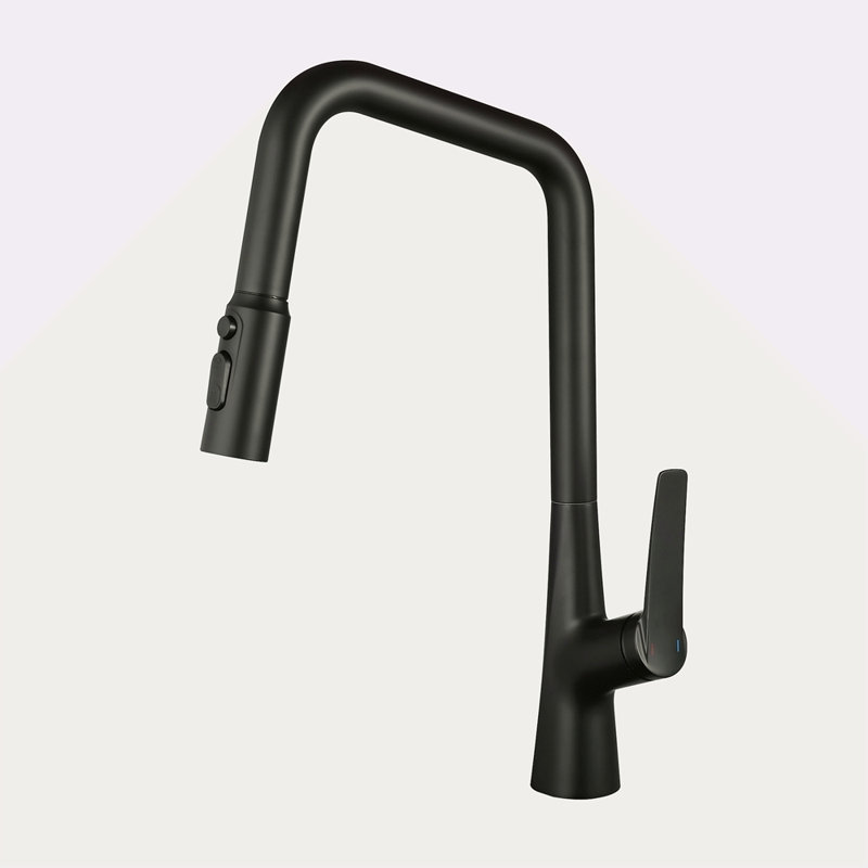 Robinet de cuisine professionnel 3 fonctions 360 pulvérisateur One Touch, Noir mat
