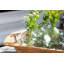 Glass Sphere Bud Vase-768581685