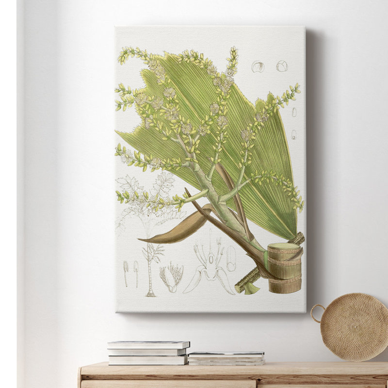 Palm Palm III - impression sur toile tendue, H 18 po x l 12 po x P 1 po