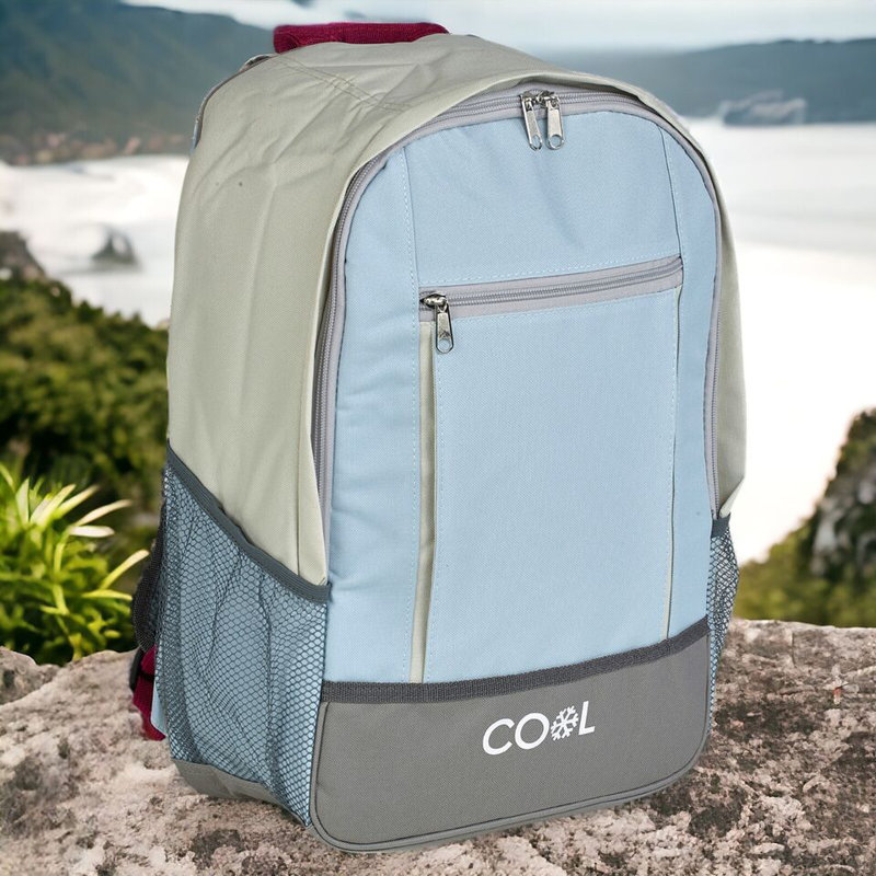 Chanchal Metro Lane 21.13L Backpack Cooler,  Blue