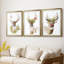 Collection Holiday B Deer-271487296-271487300