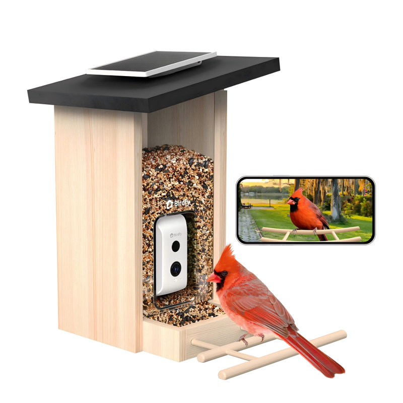 Mangeoire d'oiseaux avec caméra Birdfy Smart