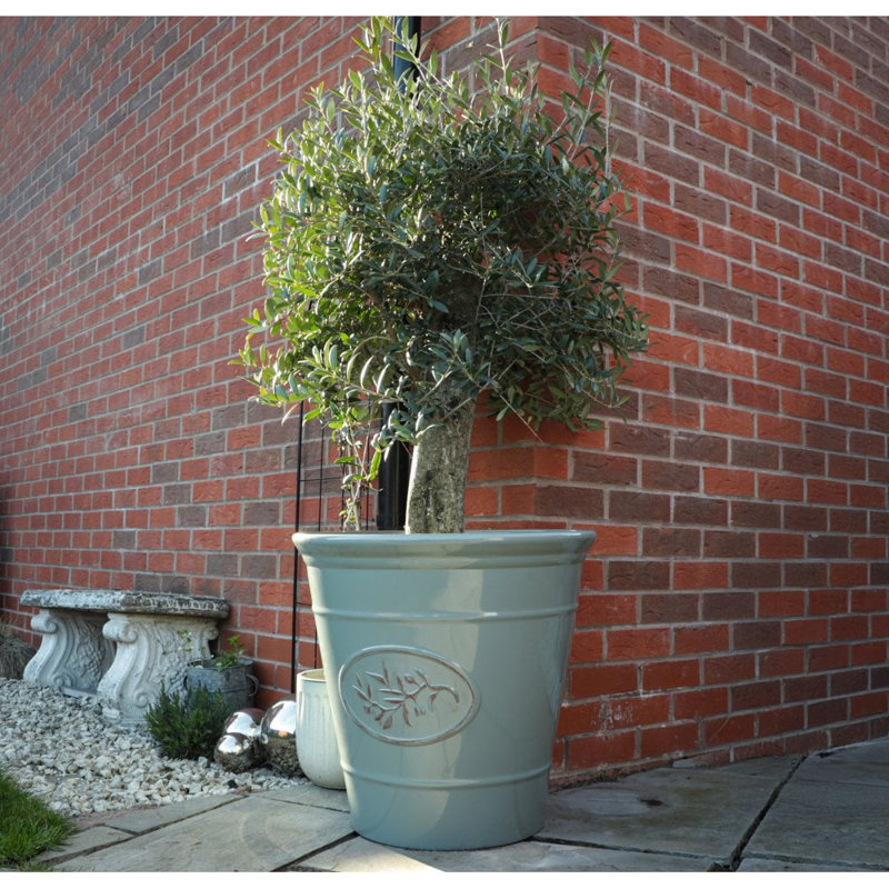 Pot Planter