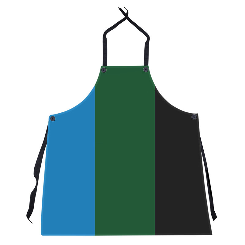 Tablier de basketball Dallas, Blue/Green/Black