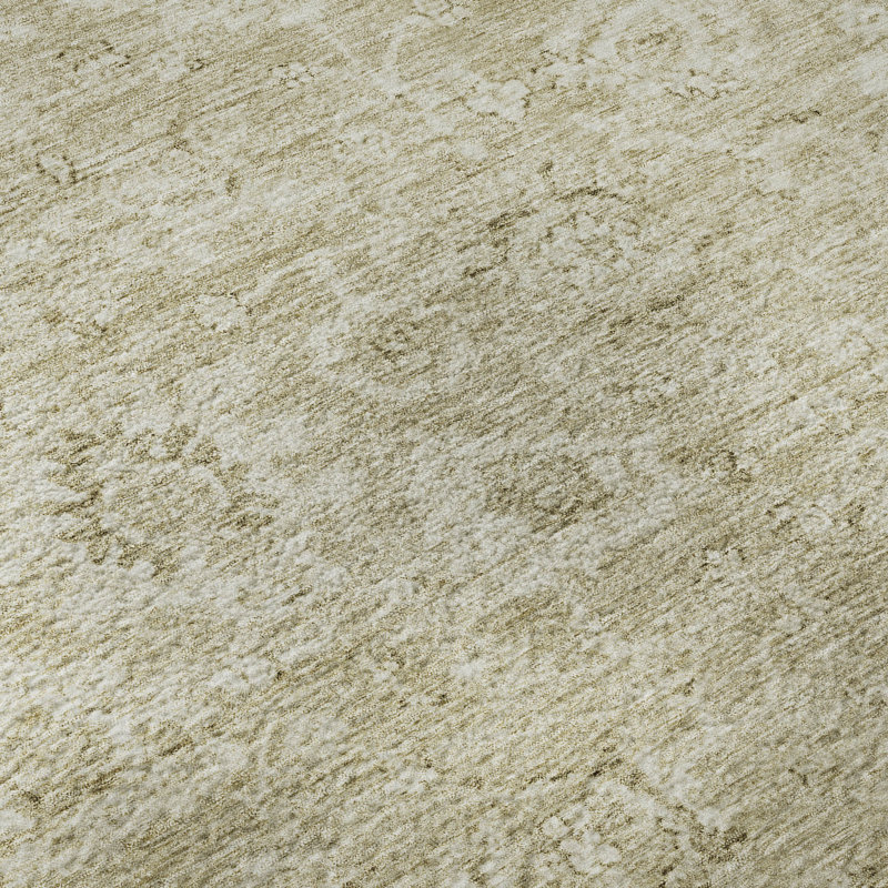 Premium Machine Washable Wayne AMF1089 Damask Rug, Rectangle 1'8" x 2'6"
