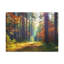 No Frame Print on Canvas-1949104398