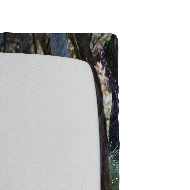 Ensemble de 2 draps-housse Ambesonne Outhouse Cottage Spring Woods, Ensemble literie pour lit simple