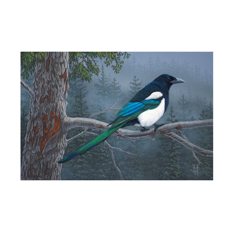Art sur toile Jeff Hoff Misty Forest Magpie, H 12 po x l 19 po