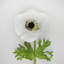 Real Touch Anemone Faux Floral-702580128