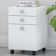 Echo 16" Wide 3 -Drawer Mobile File Cabinet