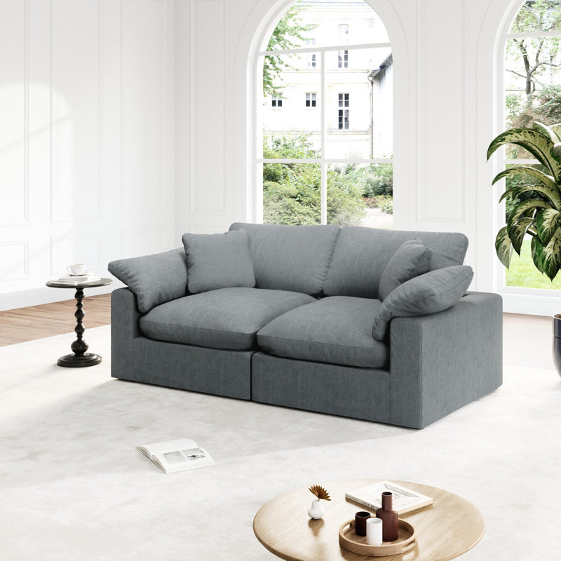 Canapé modulaire rembourré en nuage, canapé confortable et moderne, rembourré de duvet, sièges profonds convertibles pour salon, salon, chambre à coucher