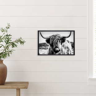 Stupell Industries Highland Cattle Cow Collage Portrait Graphic Art Black Framed Art Print Wall Art, Design by Traci Anderson