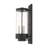 Binghamton Wall Light-301699086