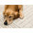 Manzelli Beige Cream Modern Striped Area Rug-1177939075