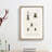 Beetle Illustrations PL.9 by Charles D'Orbigny - Single Picture Frame Print-55544055-55544054