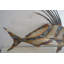 Support mural en acier découpé au laser pour poissons Snapper - Taille: L 26 po x l 2 po x H 17 po.