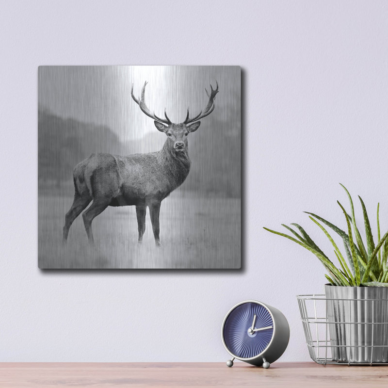 «Proud Deer» par PhotoINC Studio, H 12 po x l 12 po