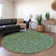 Premium Machine Washable Cerrito AMF514 Green Rug